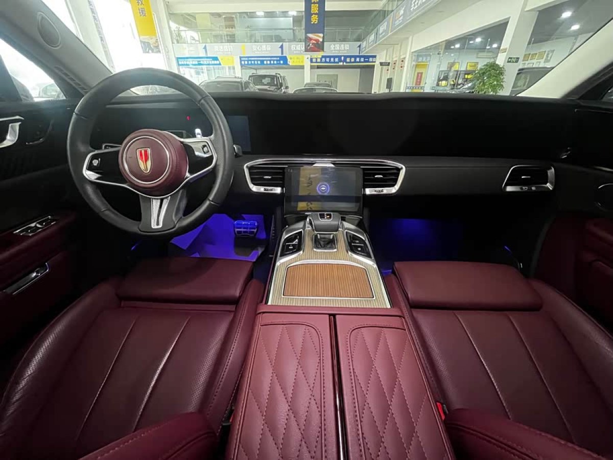 HongQi E-HS9 2023 immagine di auto #9