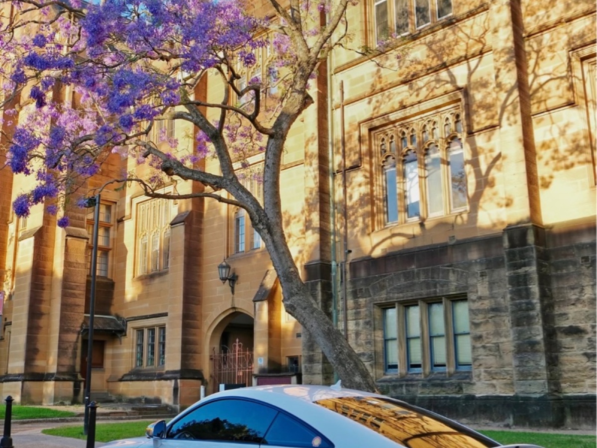 Audi TTS 2013 car image #9