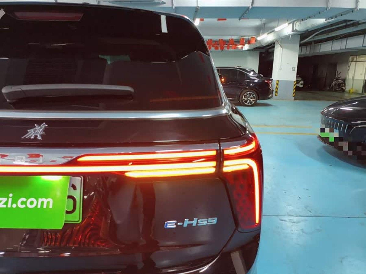 HongQi E-HS9 2023 car image #9