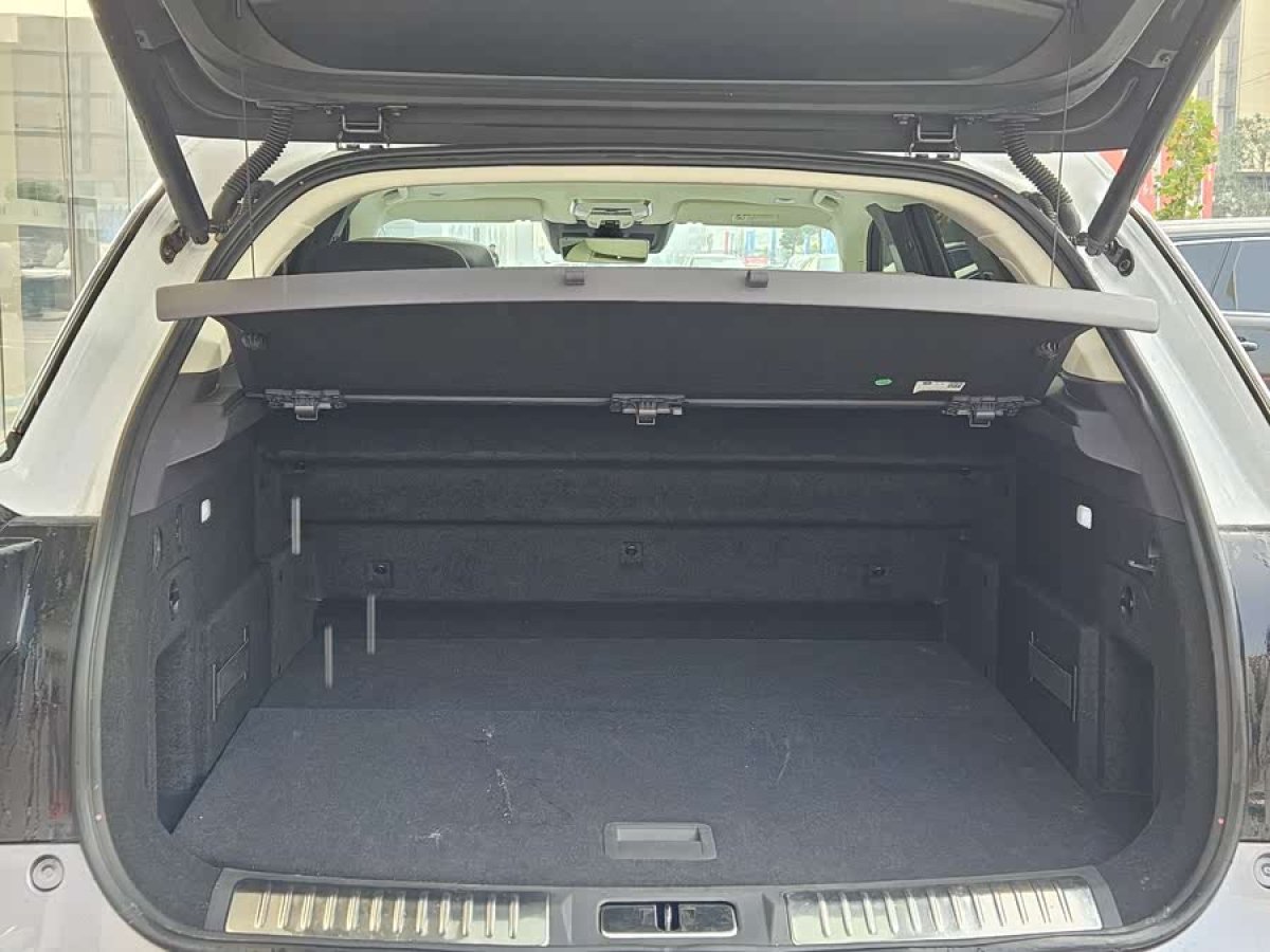 HongQi E-HS9 2021 car image #9