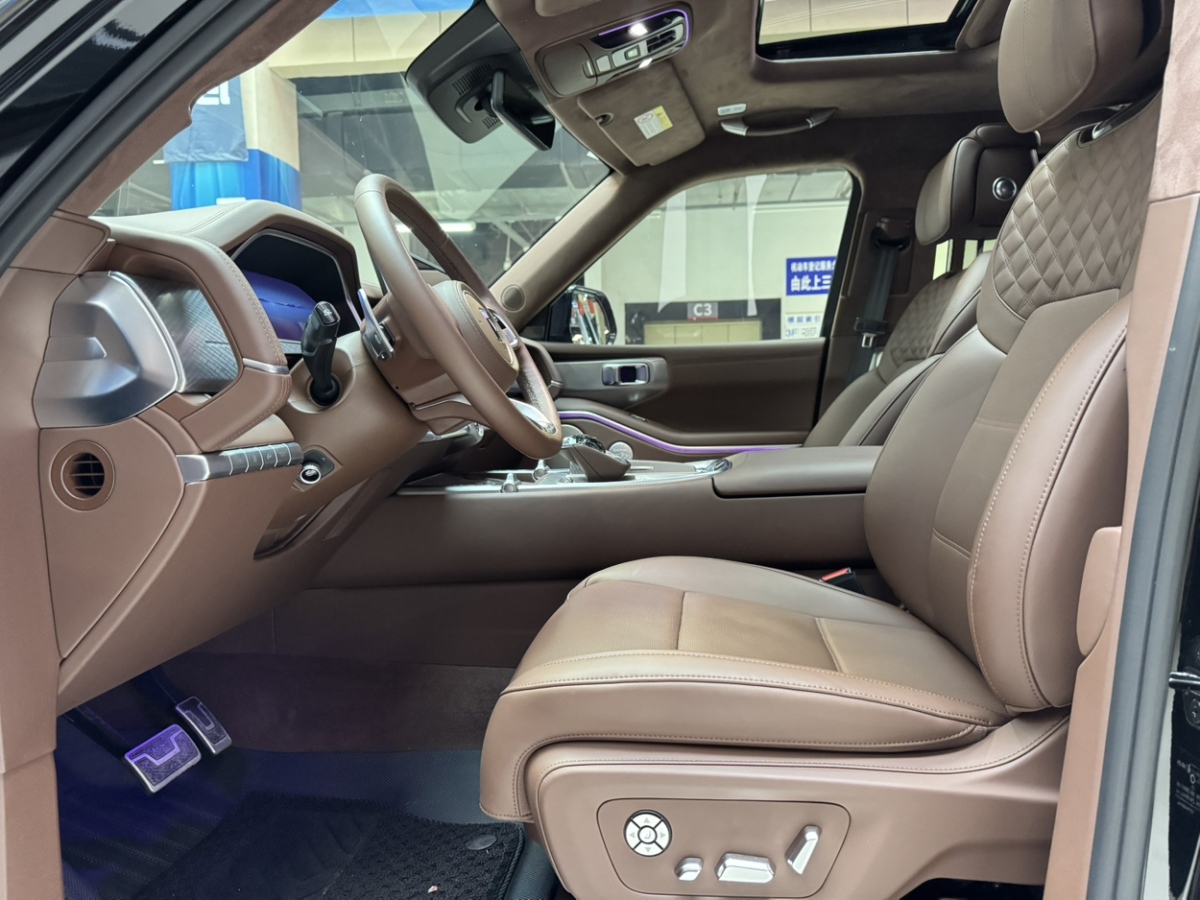 Tank 700 New Energy 2024 immagine di auto #9