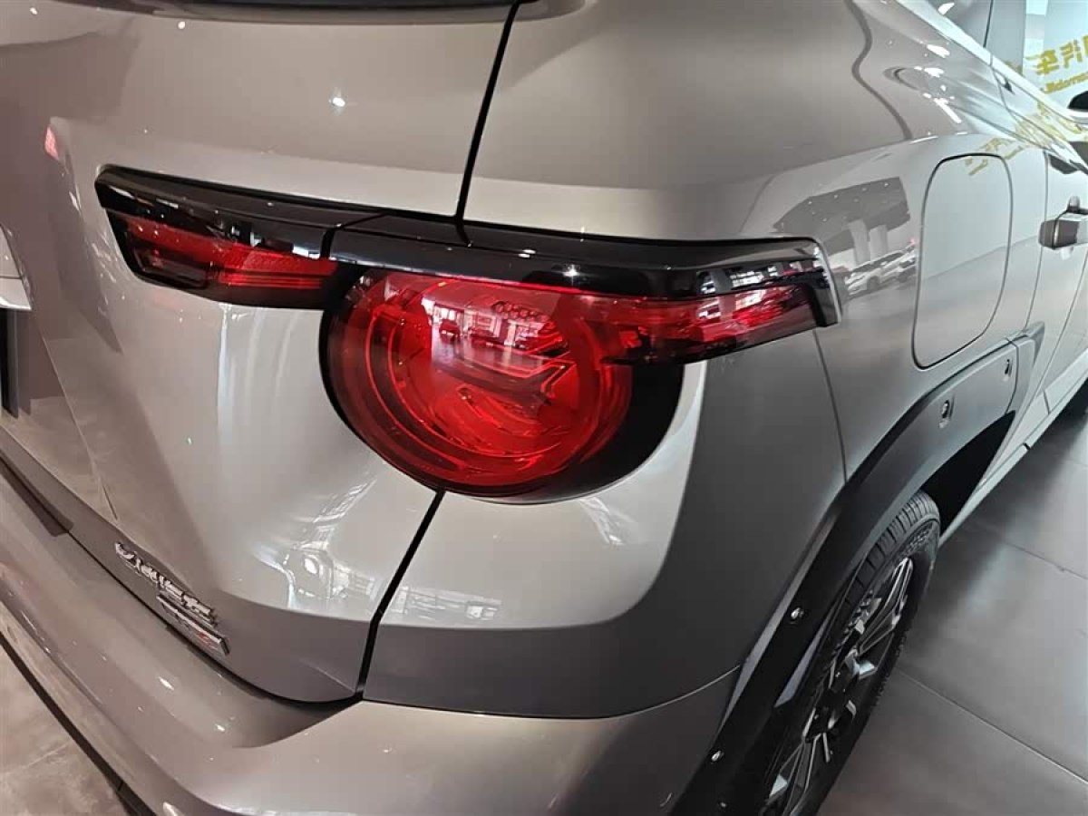 Haval X Dog 2 New Energy 2024 car image #9