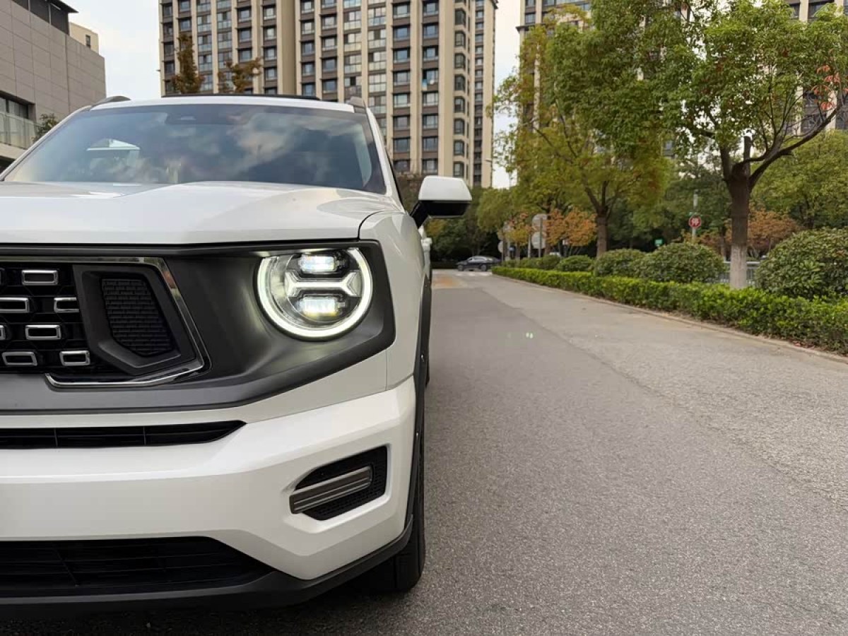 Haval X Dog 2 New Energy 2025 car image #9