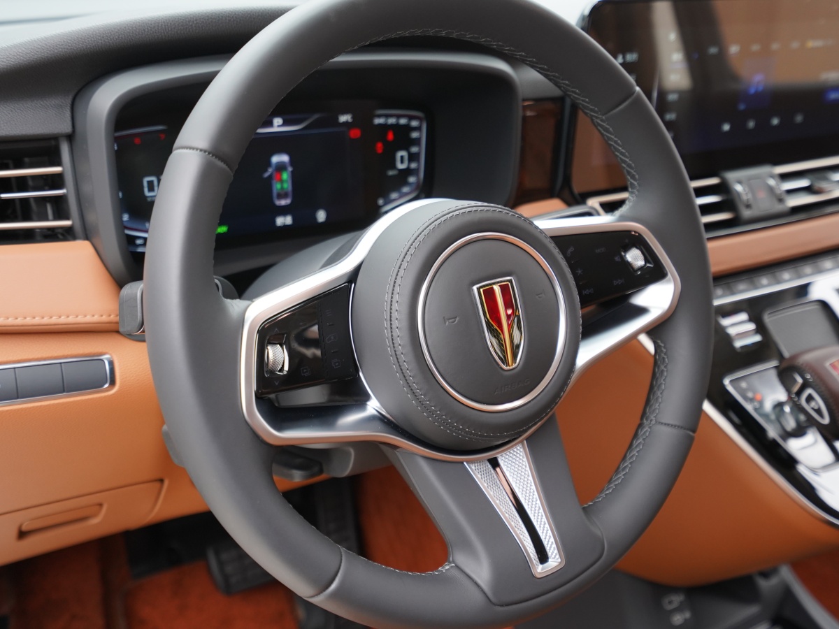 HongQi HQ9 2023 #9 HongQi HQ9 2023 car image #9