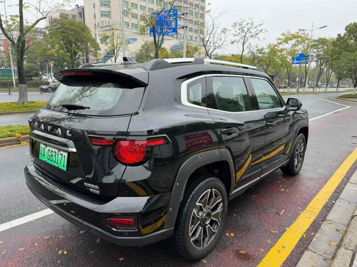 Haval Dargo 2 2024 imagem de carro #9