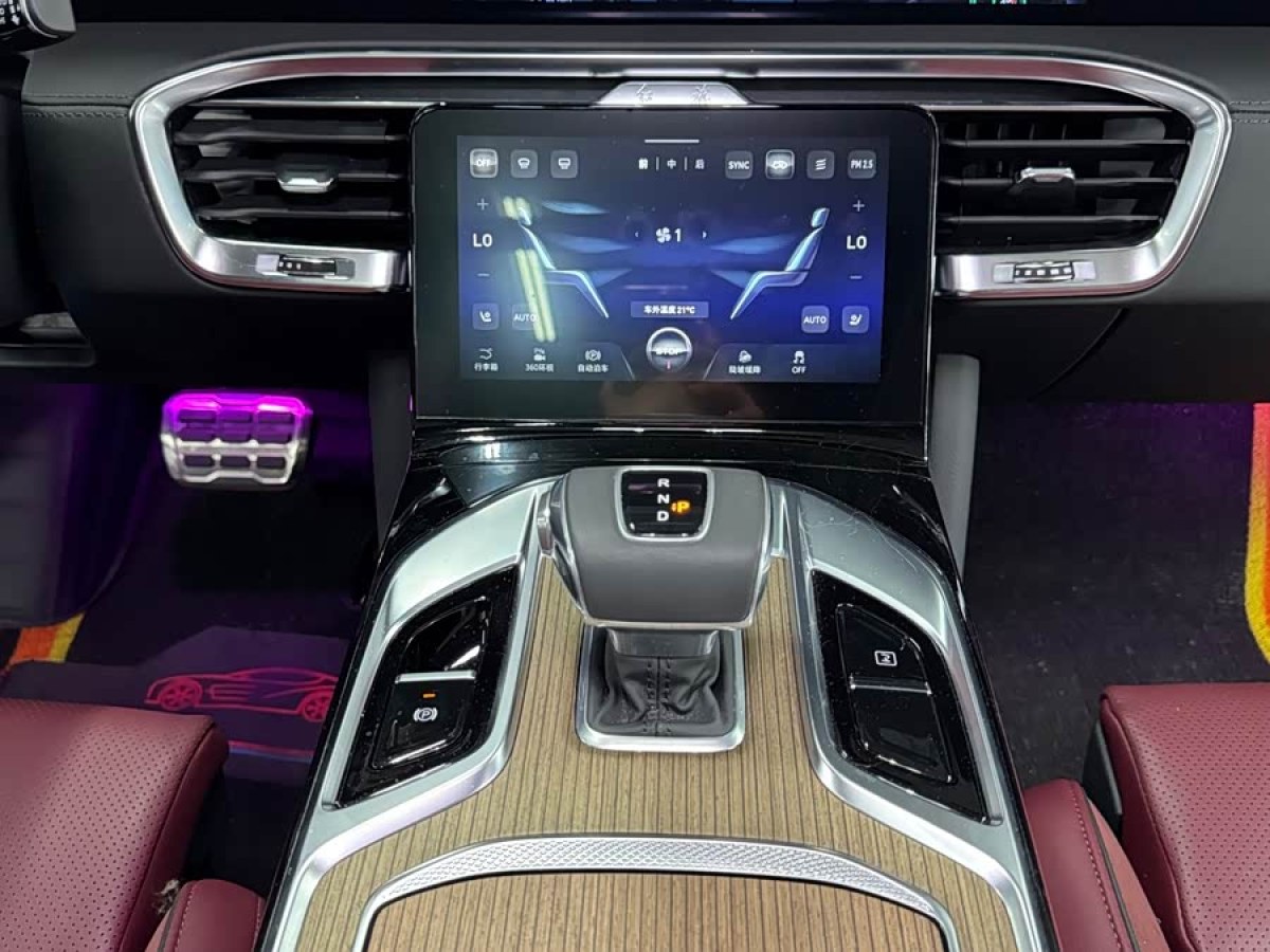 HongQi E-HS9 2024 #9 HongQi E-HS9 2024 immagine di auto #9