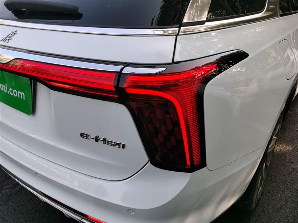 HongQi E-HS9 2023 car image #9