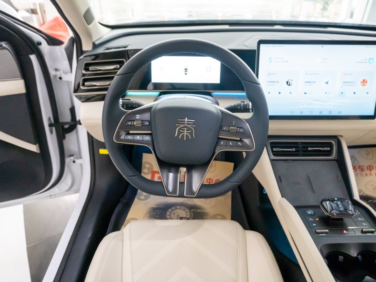 BYD M9 2024 car image #9