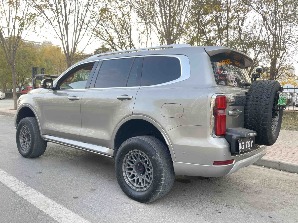 Tank 500 New Energy 2024 car image #9