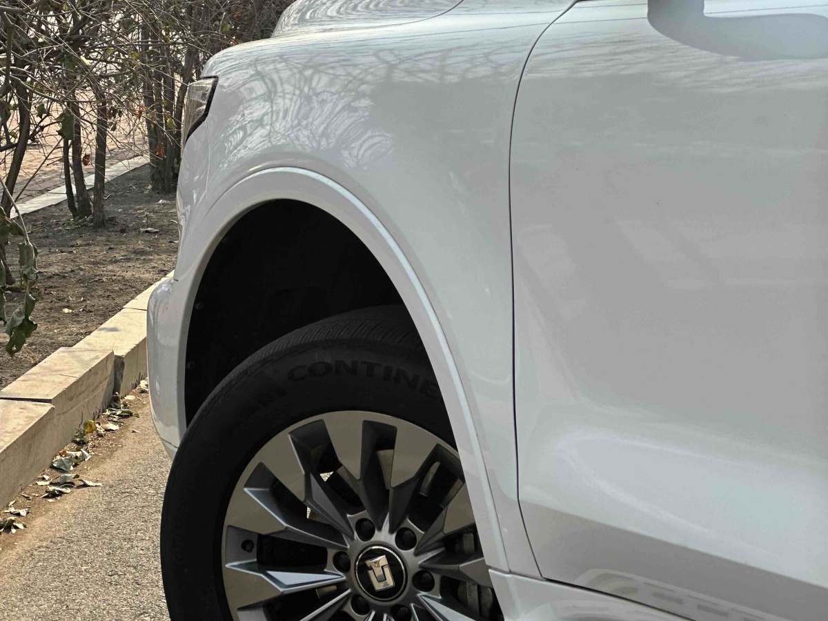 Tank 500 New Energy 2024 car image #9