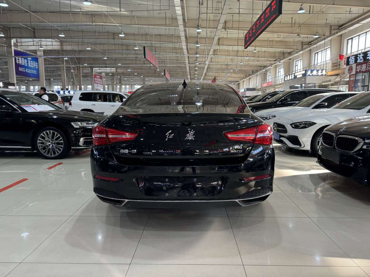 HongQi S9 2019 car image #9