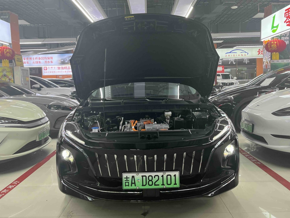 HongQi H5 PHEV 2023 car image #9