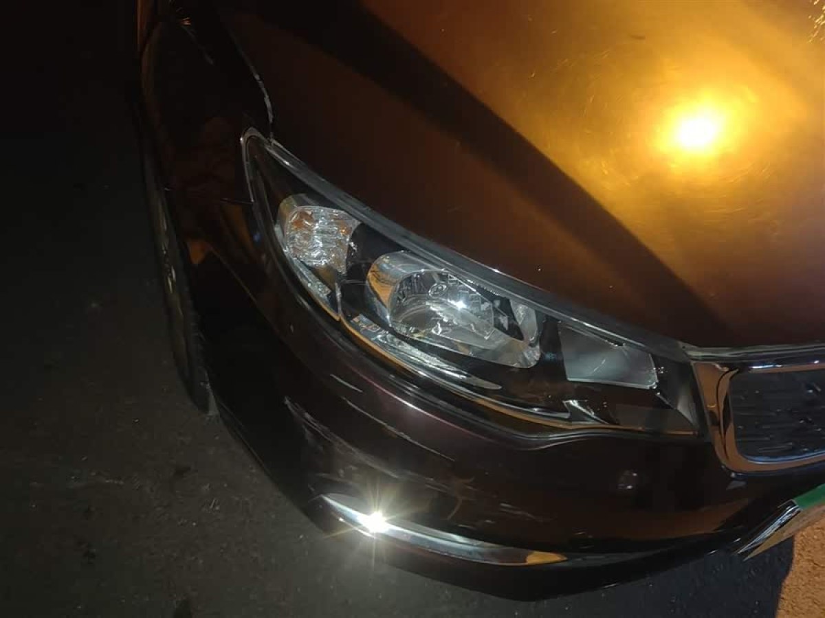 起亚 福瑞迪 2014 汽车图片 #9