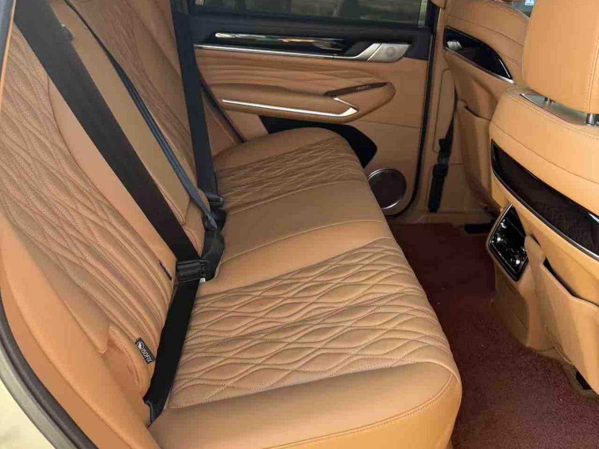 Tank 300 New Energy 2025 #9 Tank 300 New Energy 2025 imagem de carro #9