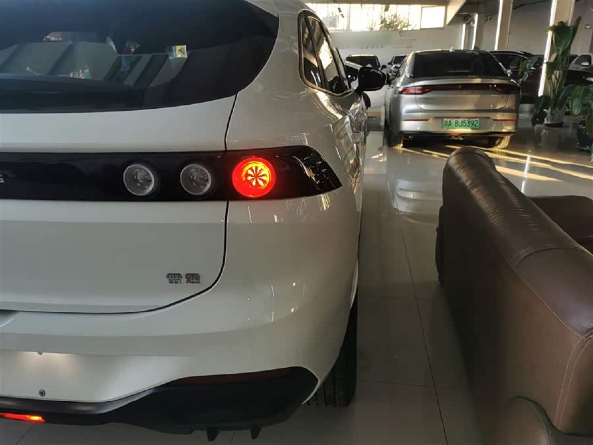 Forthing Thunder 2024 изображение автомобиля #9