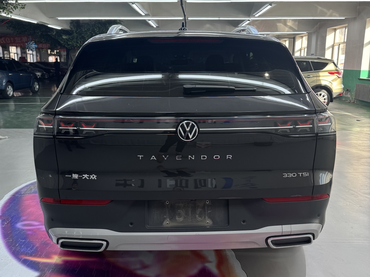 Volkswagen Tavendor 2023 car image #9