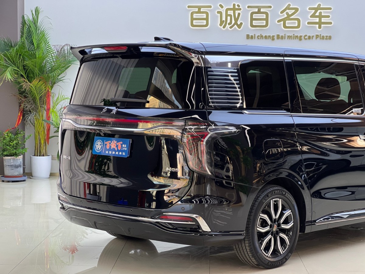HongQi HQ9 2023 car image #9