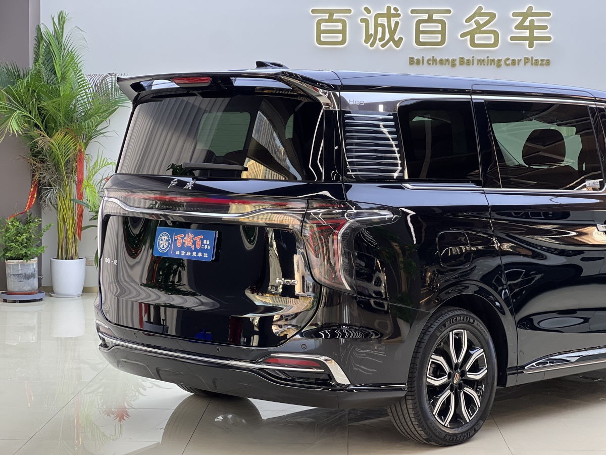 HongQi HQ9 2023 #9 HongQi HQ9 2023 car image #9
