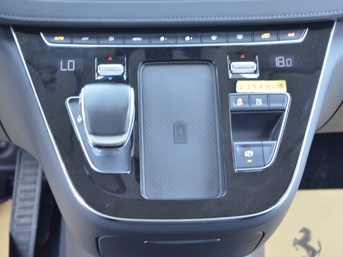 HongQi HQ9 2023 car image #9