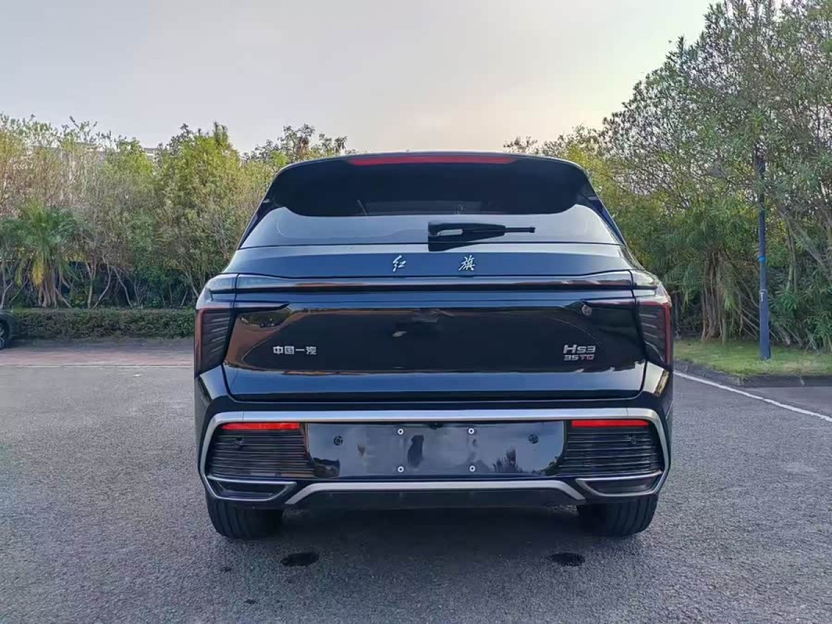 HongQi HS3 2024 immagine di auto #9