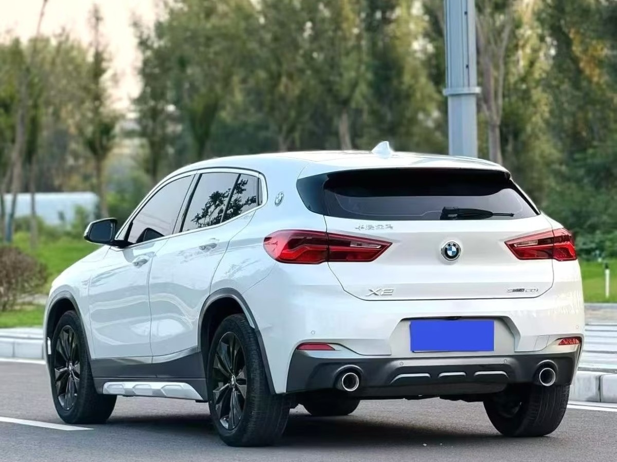 BMW X2 2019 immagine di auto #9