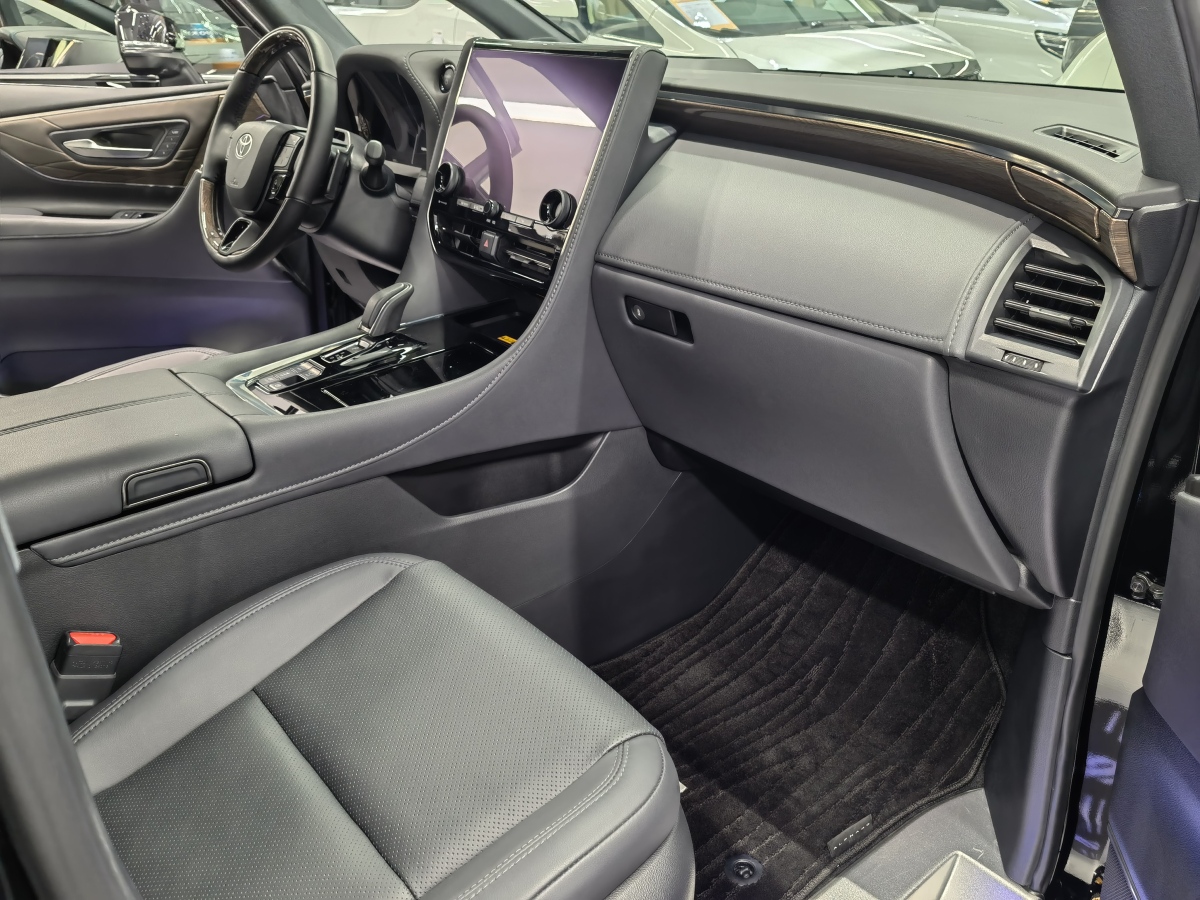 Toyota Alphard 2024 car image #9