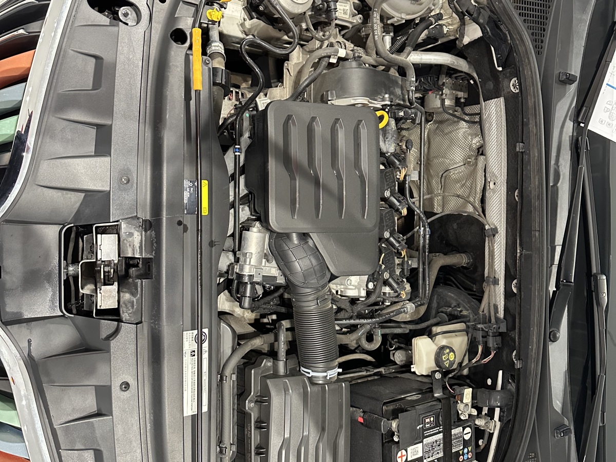 Skoda Octavia 2020 car image #9