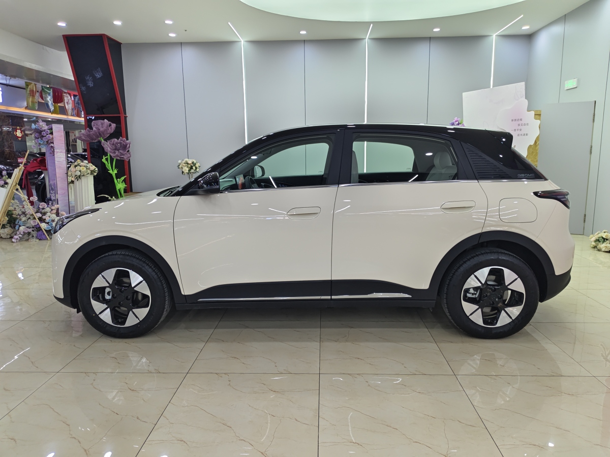 GEELY 2025 #9 GEELY 2025 car image #9