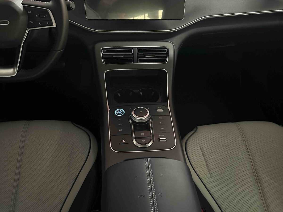 BYD Destroyer 05 2024 immagine di auto #9
