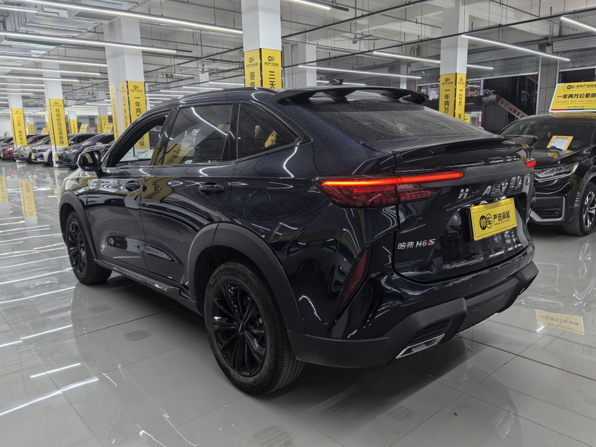 Haval H6S 2022 car image #9