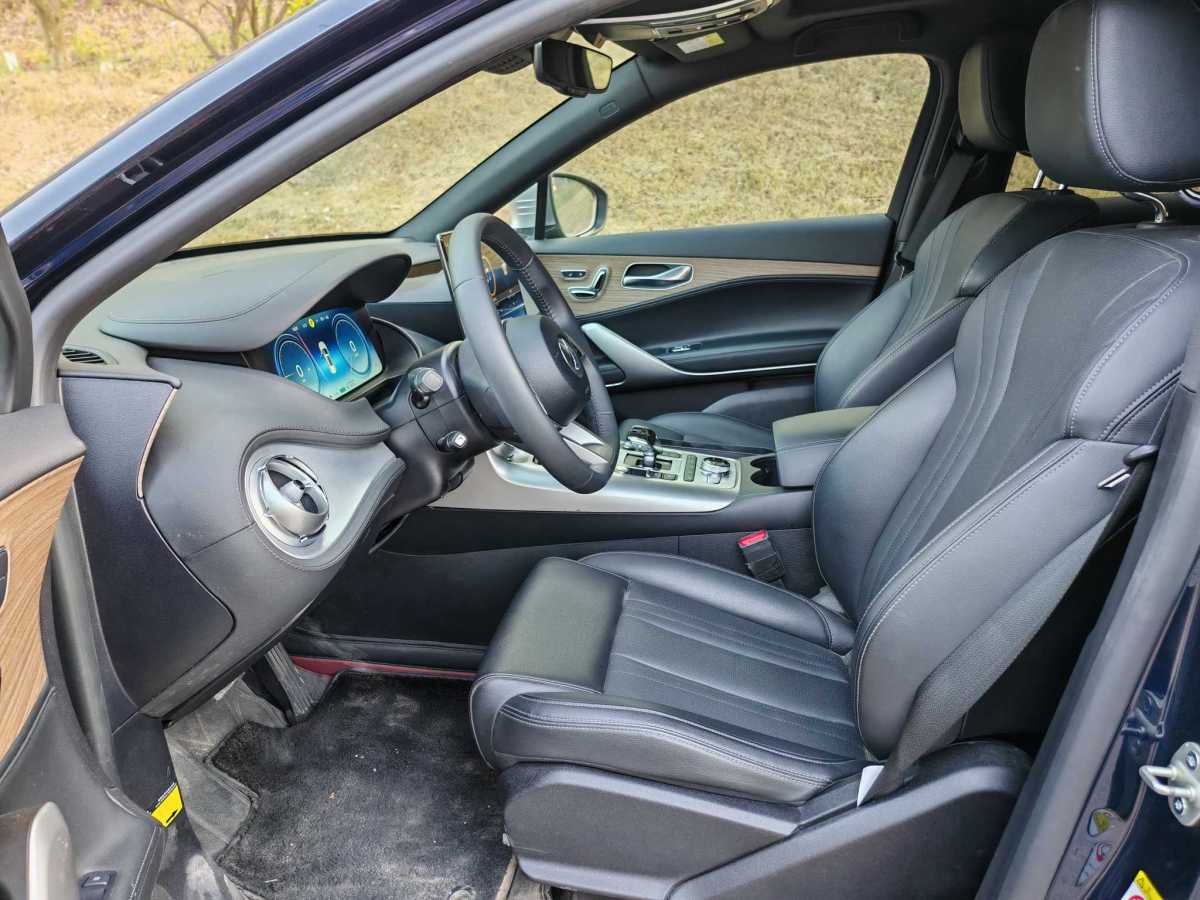 Denza X 2021 #9 Denza X 2021 car image #9