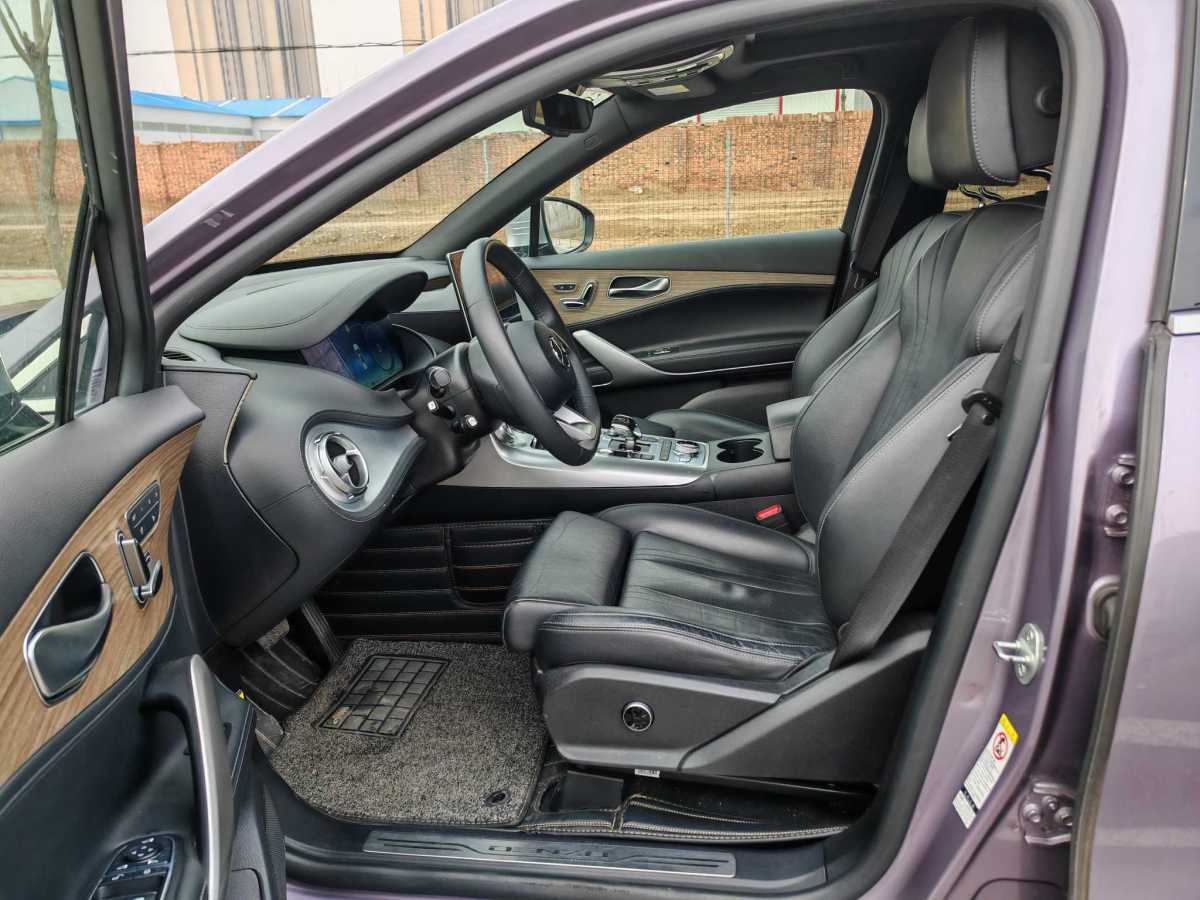 Denza X 2020 imagem de carro #9