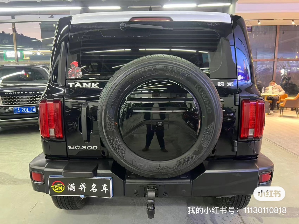 Tank 300 2022 car image #9