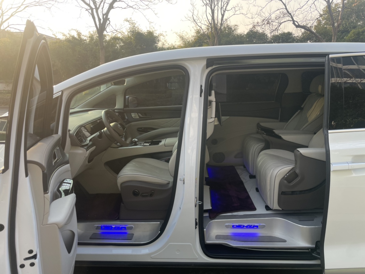 腾势 腾势D9 2023 汽车图片 #9