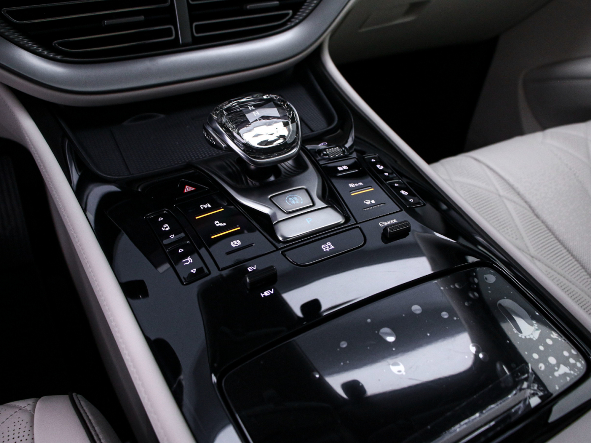 Denza D9 2024 car image #9