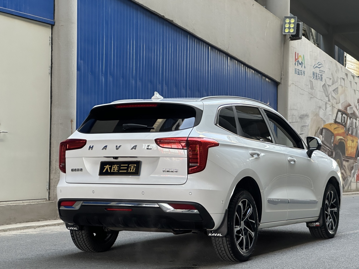 Haval Jolion 2021 #9 Haval Jolion 2021 imagen de coche #9