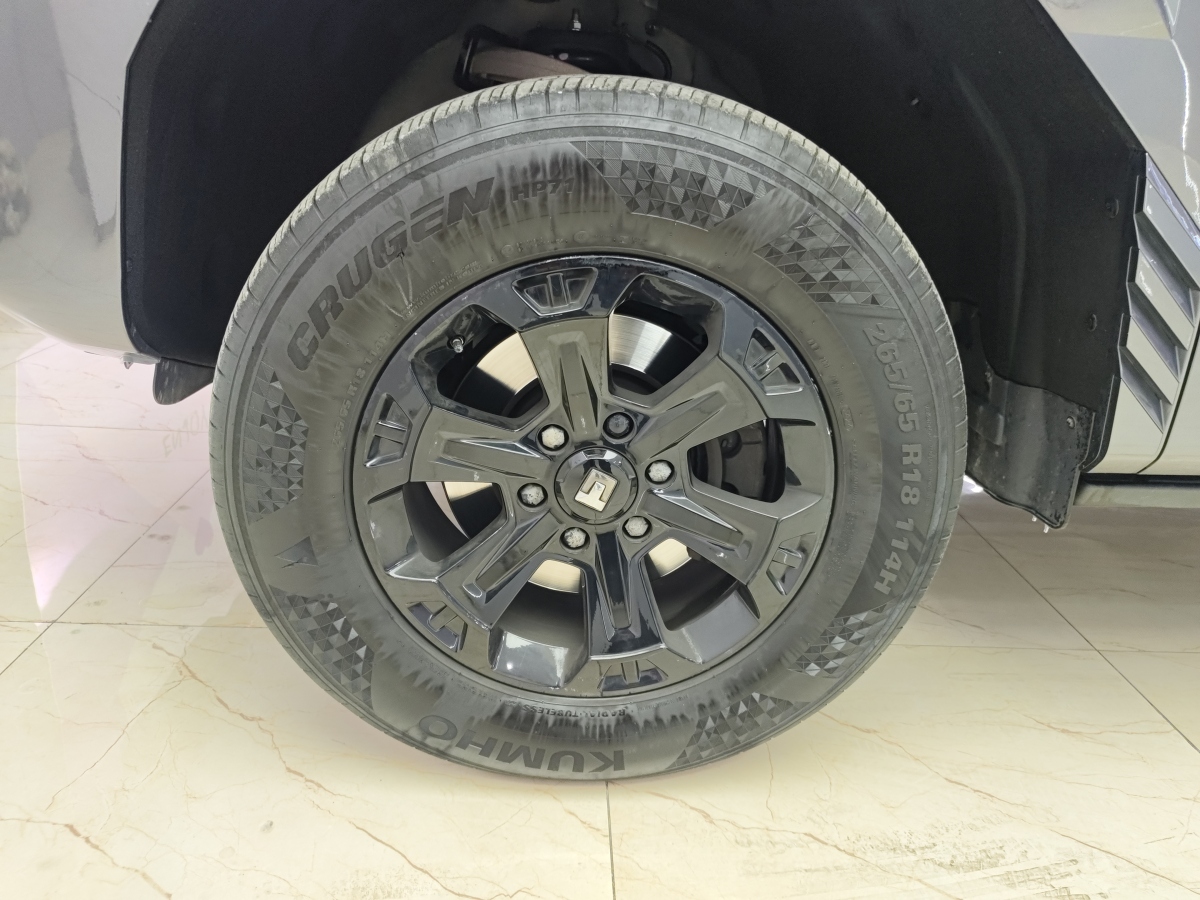 Tank 400 New Energy 2024 car image #9