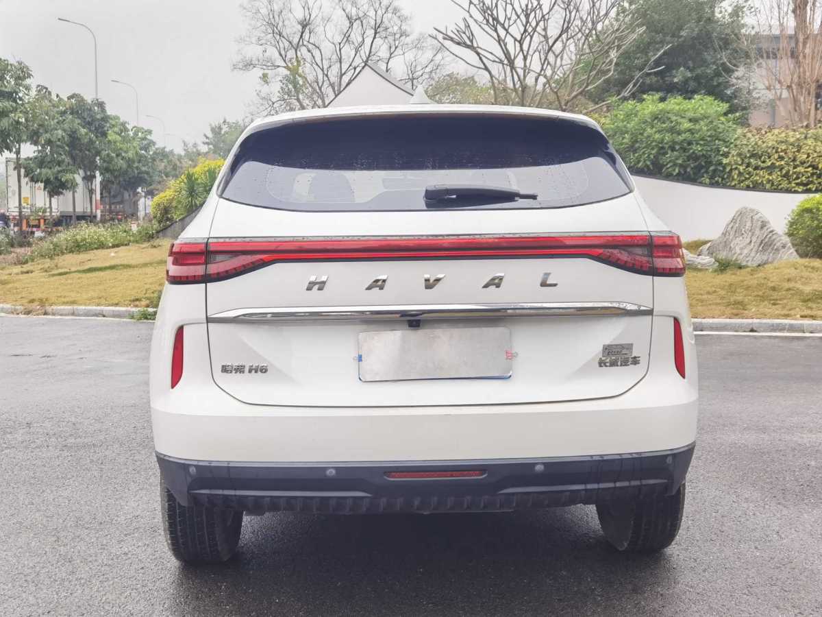 Haval H6 2021 #9 Haval H6 2021 car image #9