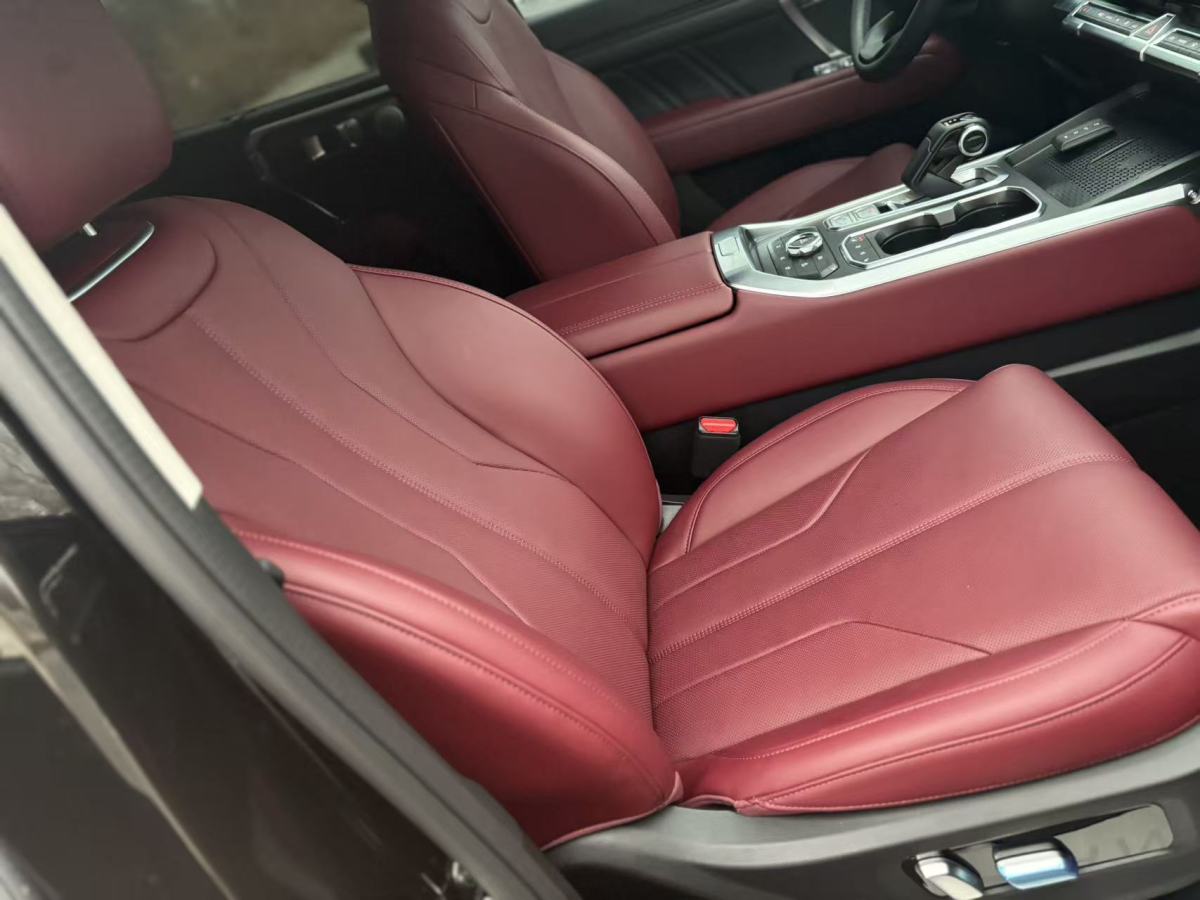 Tank 400 New Energy 2025 car image #9