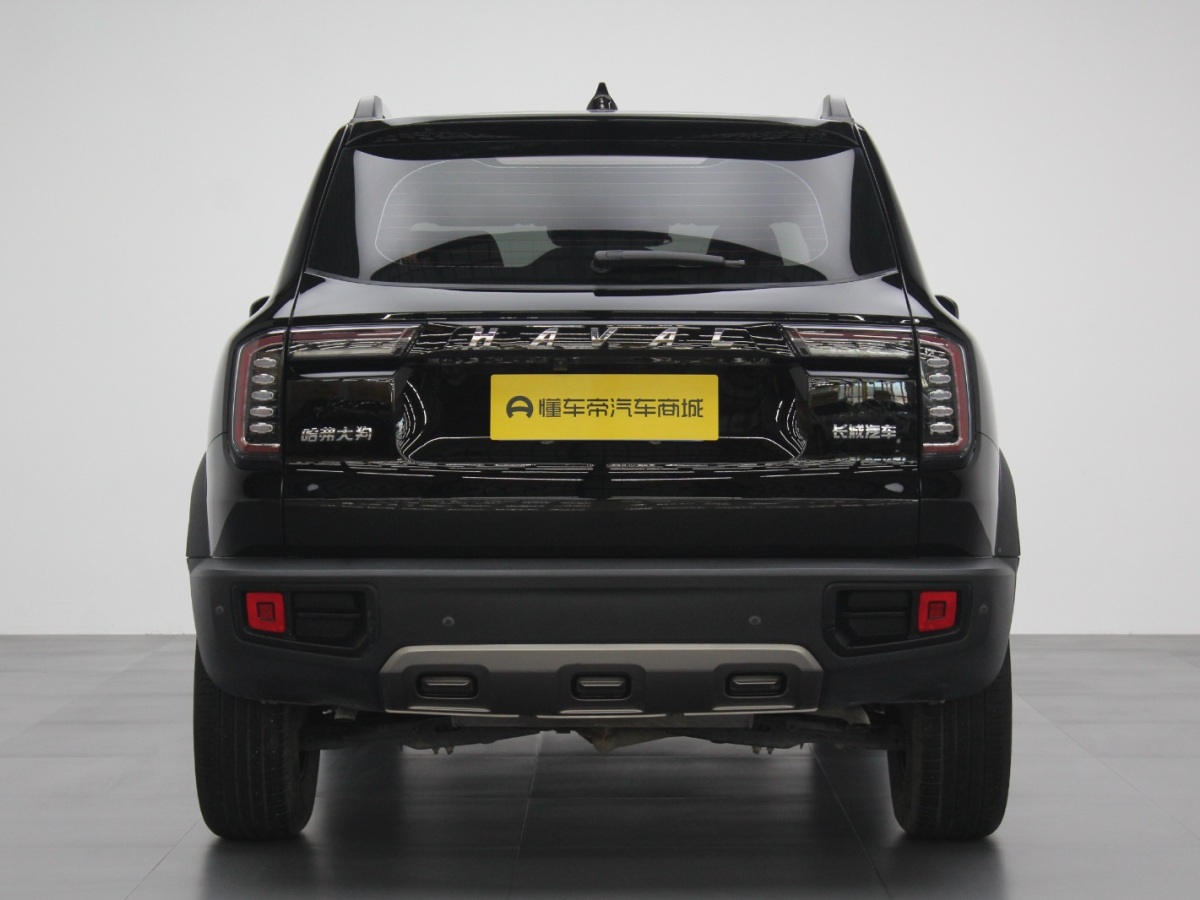 Haval X Dog / Dargo 2022 #9 Haval X Dog / Dargo 2022 car image #9