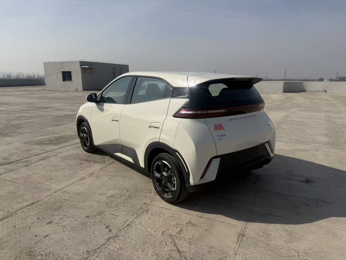 BYD Seagull 2024 imagen de coche #9