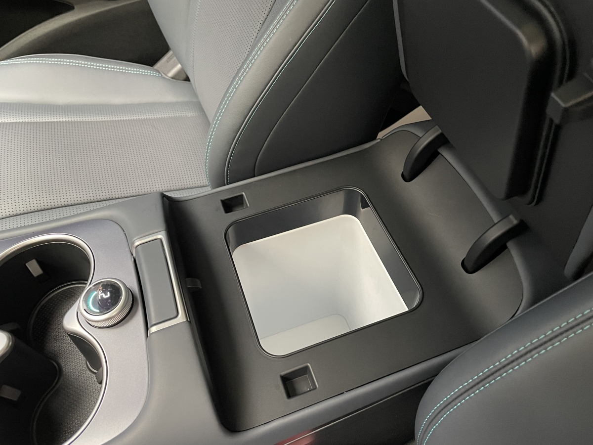 BYD Sea Lion 07 DM-i 2025 car image #9