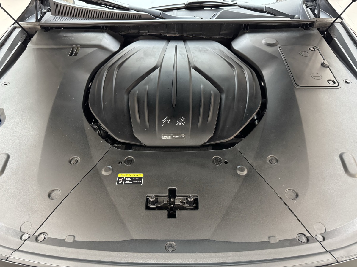 HongQi H9 2023 #9 HongQi H9 2023 immagine di auto #9