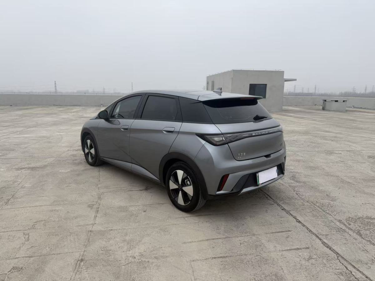BYD Dolphin 2024 #9 BYD Dolphin 2024 immagine di auto #9