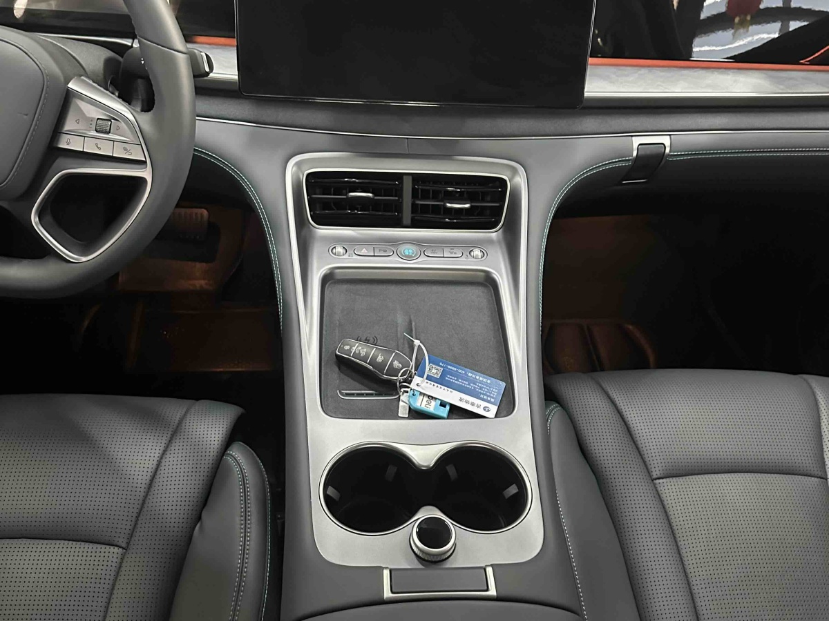 BYD Sea Lion 07 DM-i 2025 car image #9