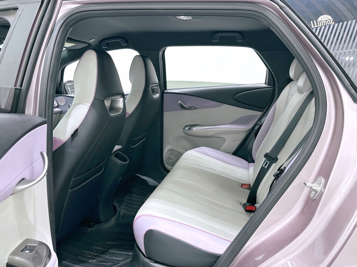 BYD Dolphin 2024 #9 BYD Dolphin 2024 car image #9