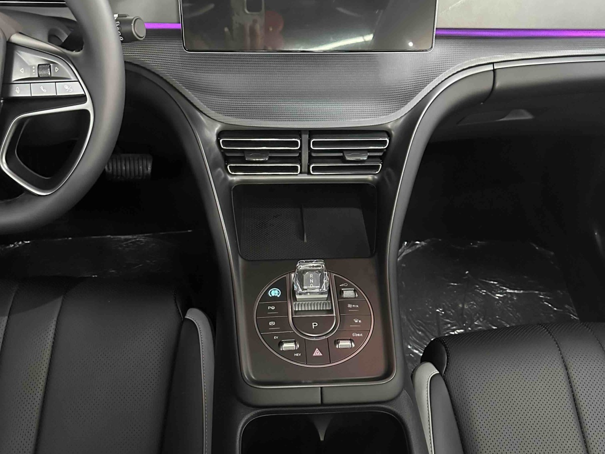 BYD Sea Lion 05 DM-i 2025 image de voiture #9