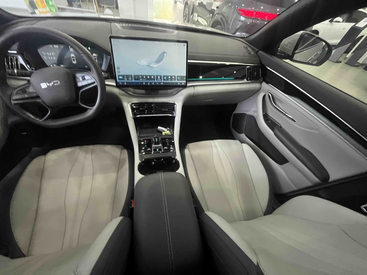 BYD Song Plus New Energy 2025 #9 BYD Song Plus New Energy 2025 car image #9