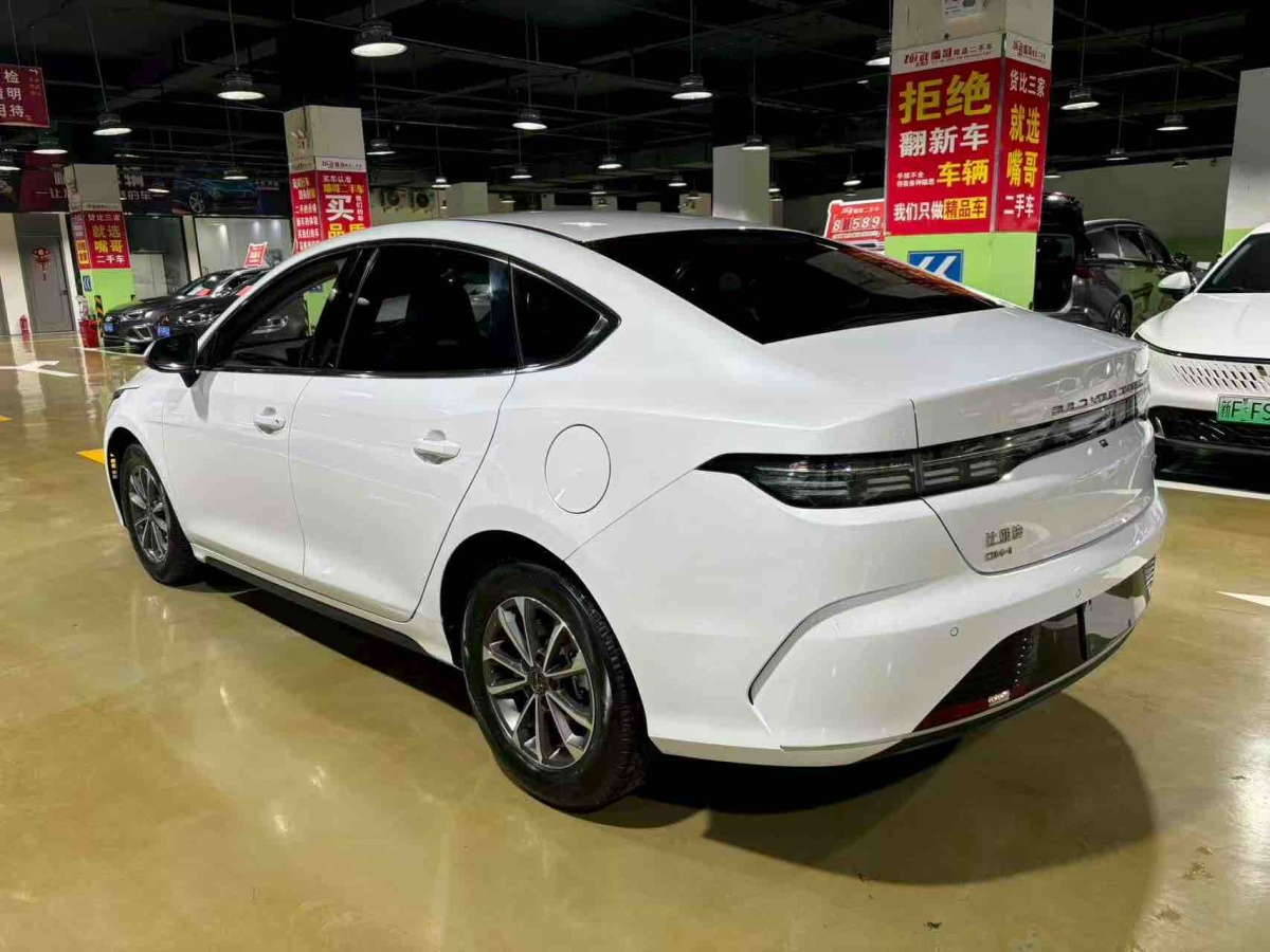 BYD Destroyer 05 2024 imagen de coche #9