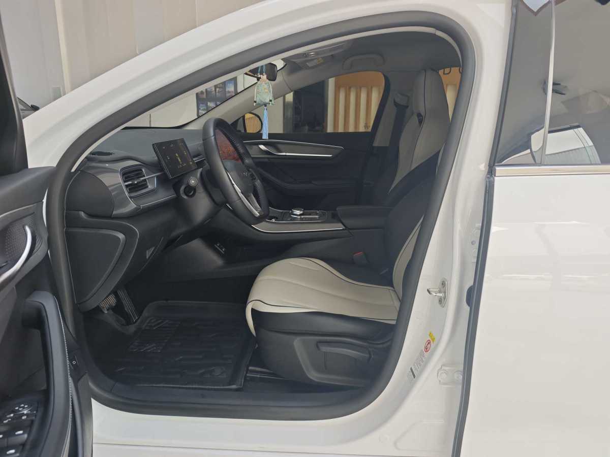 BYD Destroyer 05 2024 imagen de coche #9